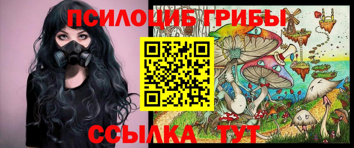 Галлюциногенные грибы Psilocybe  Вход с VPN  Галлюциногенные грибы прущие грибы  Королёв 