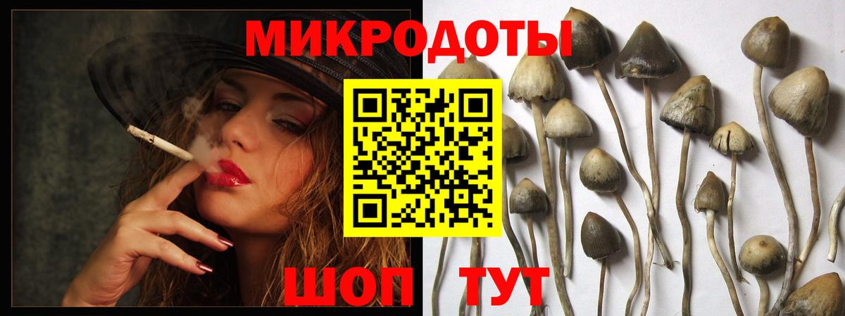Кокаин  MDMA  Вход с VPN  КЕТАМИН  ТГК  Метамфетамин  Королёв  ГАШ  Меф кристаллы  Марихуана 