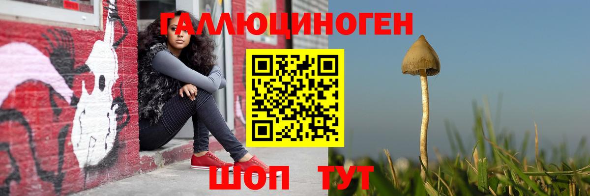 Галлюциногенные грибы ЛСД Королёв